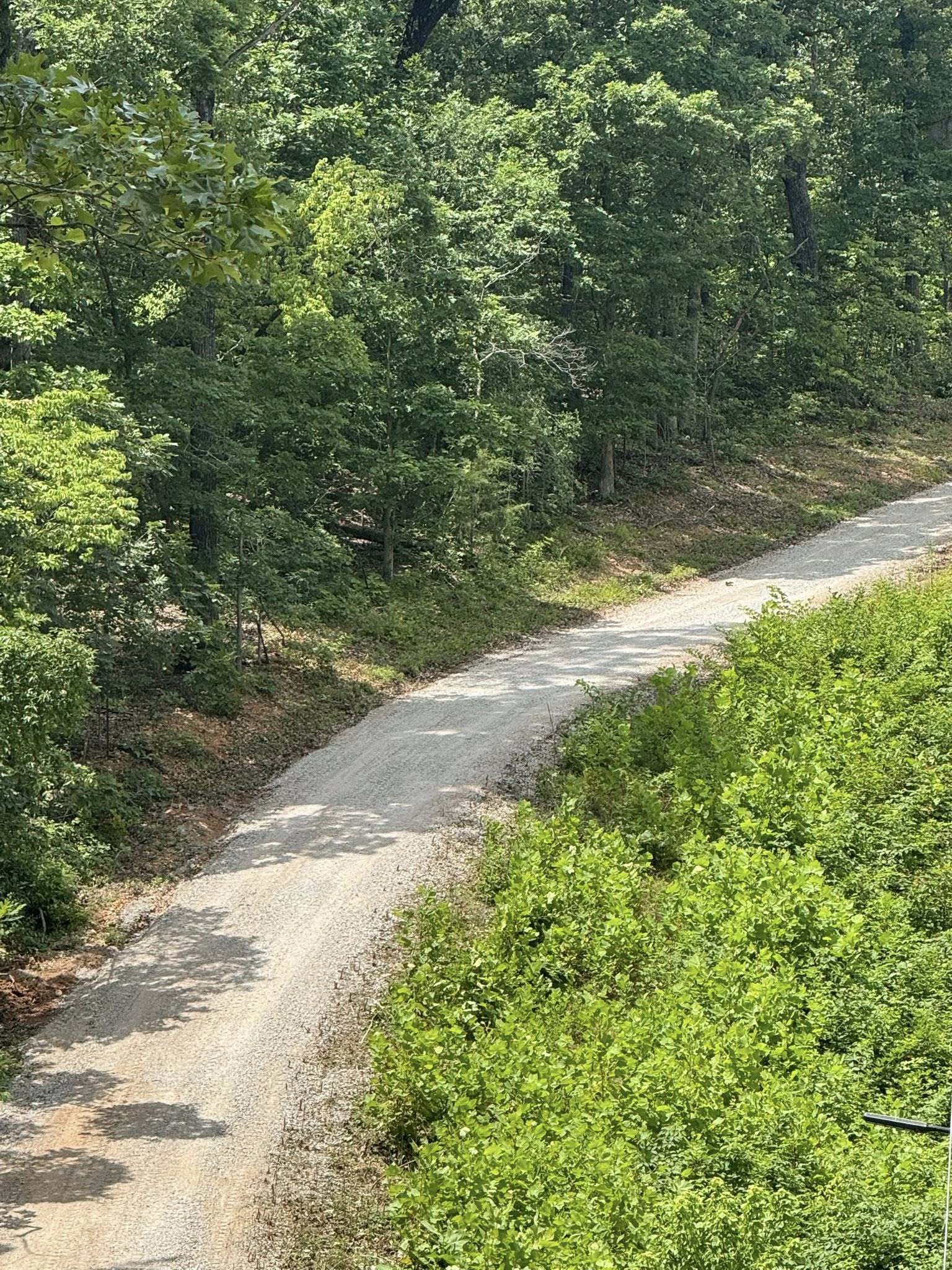 Gravel driveway through Ozark woods