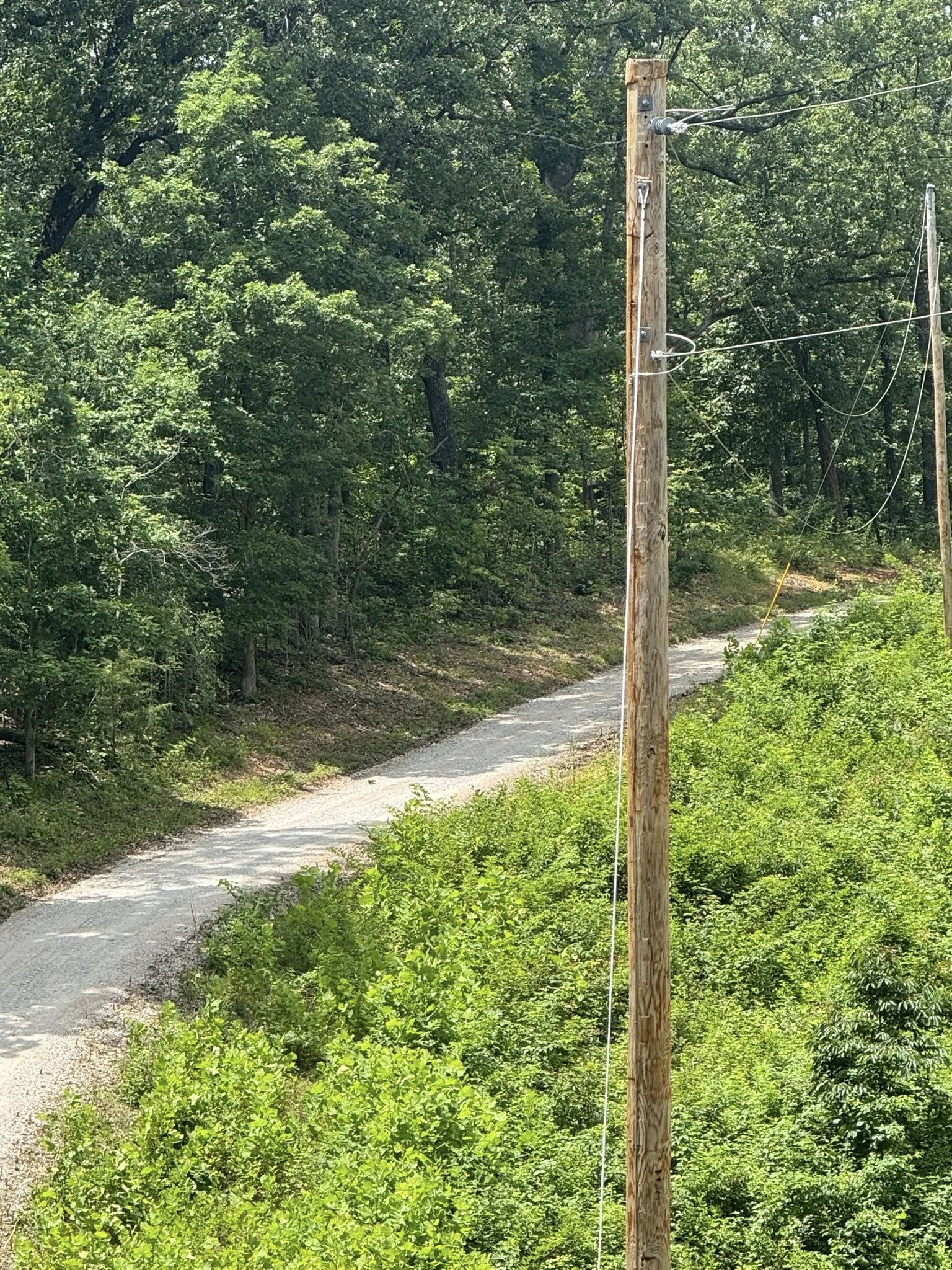 Rural gravel driveway through wooded Ozark property