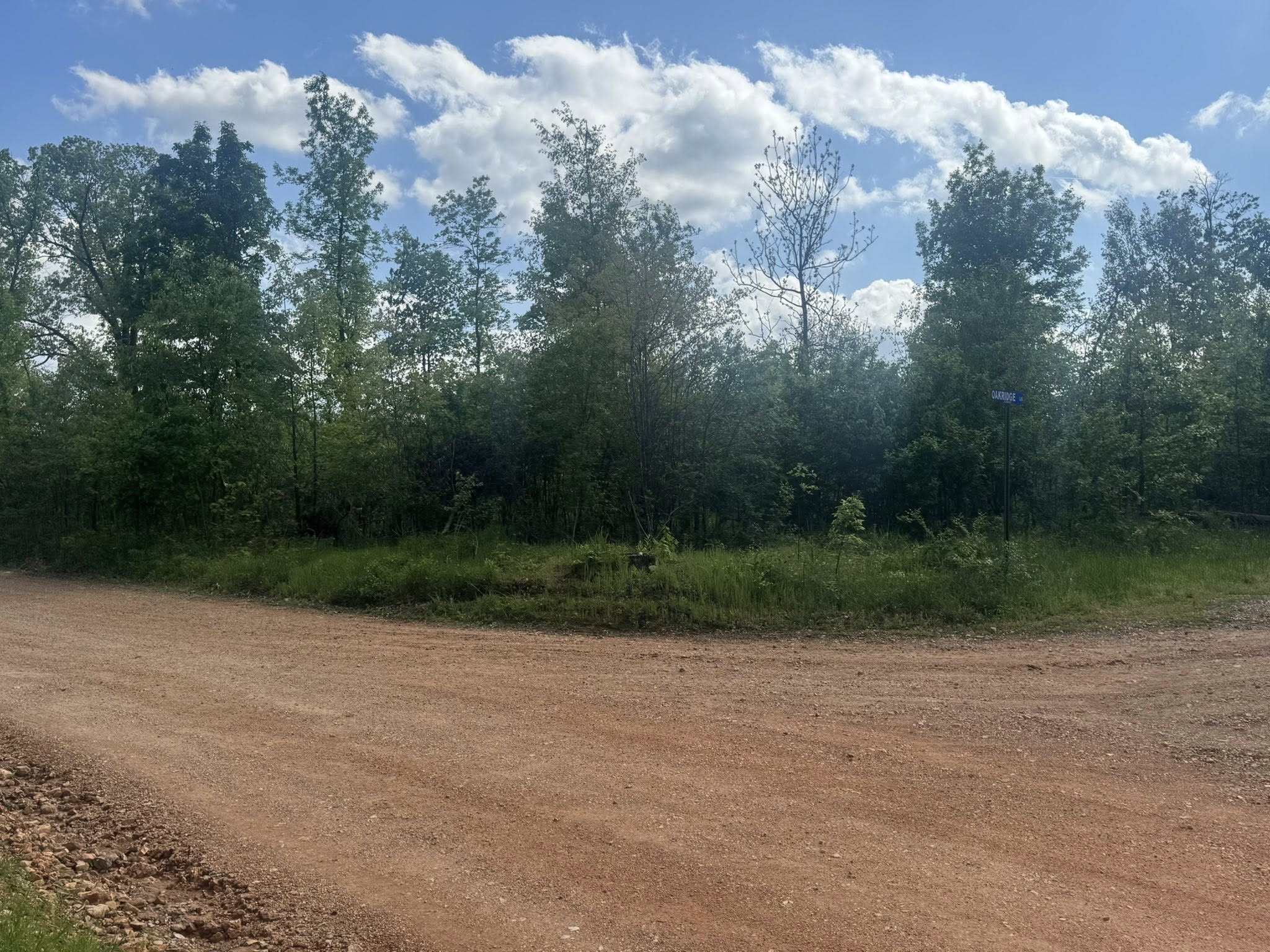Overgrown property in McDonald County ready for land clearing