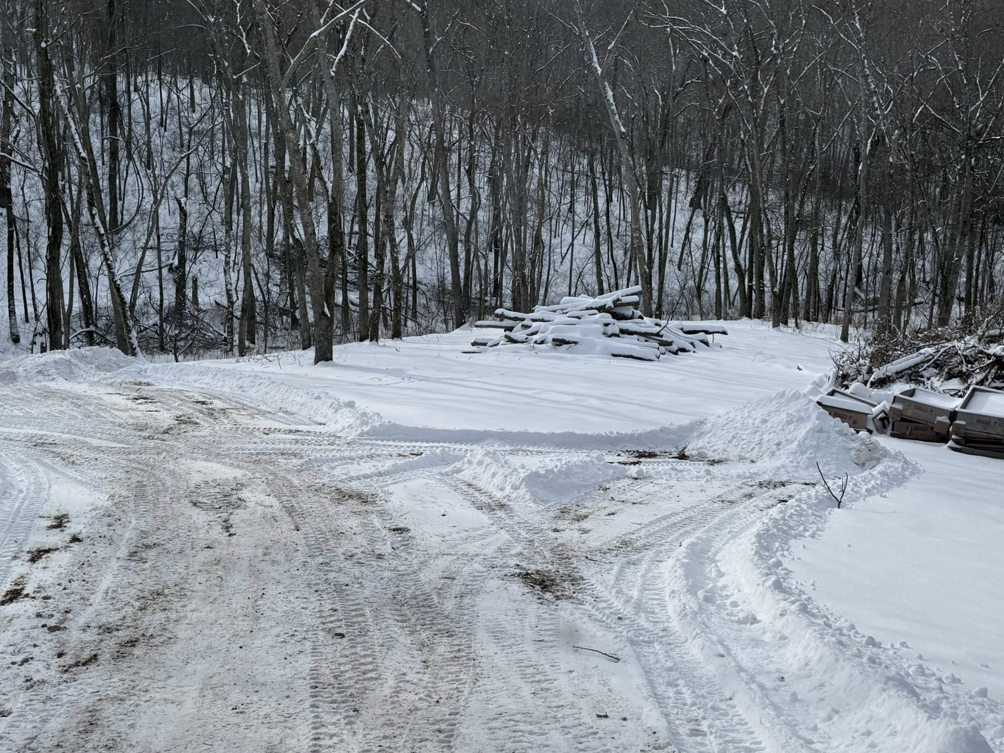 Rental Cleaning Services